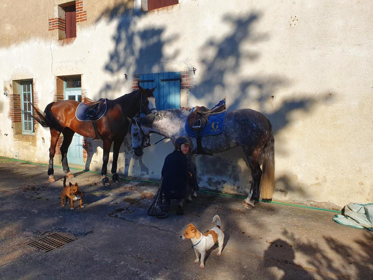 Ferme Equestre & Chambres D'Hotes Gateau Stables Proche Guedelon Saint-Amand-en-Puisaye Exterior photo