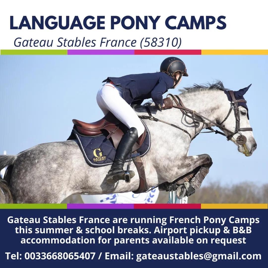 Ferme Equestre & Chambres D'Hotes Gateau Stables Proche Guedelon Saint-Amand-en-Puisaye Exterior photo